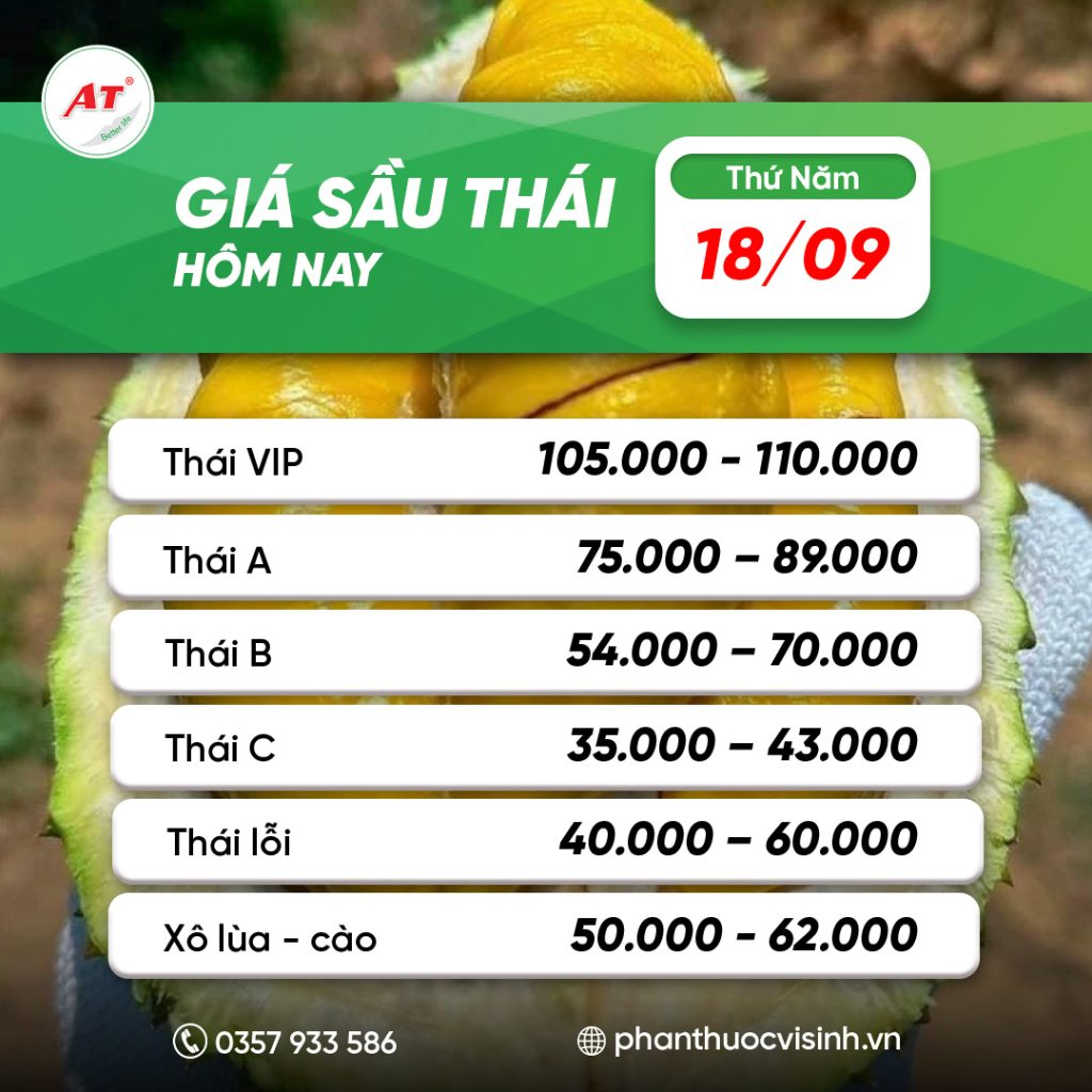 sau thai phan thuoc 24