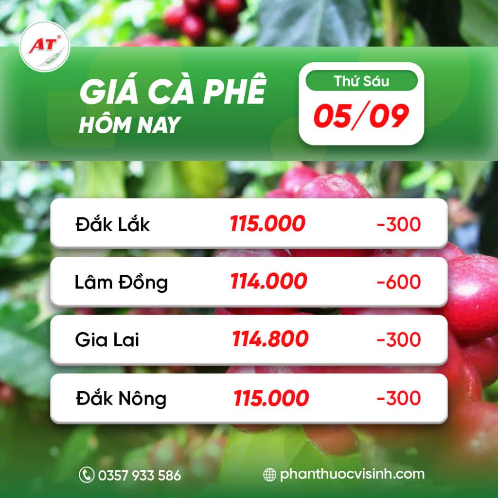 z6979605836048 b1361cb2a8d66cfe5cfa1138769def04