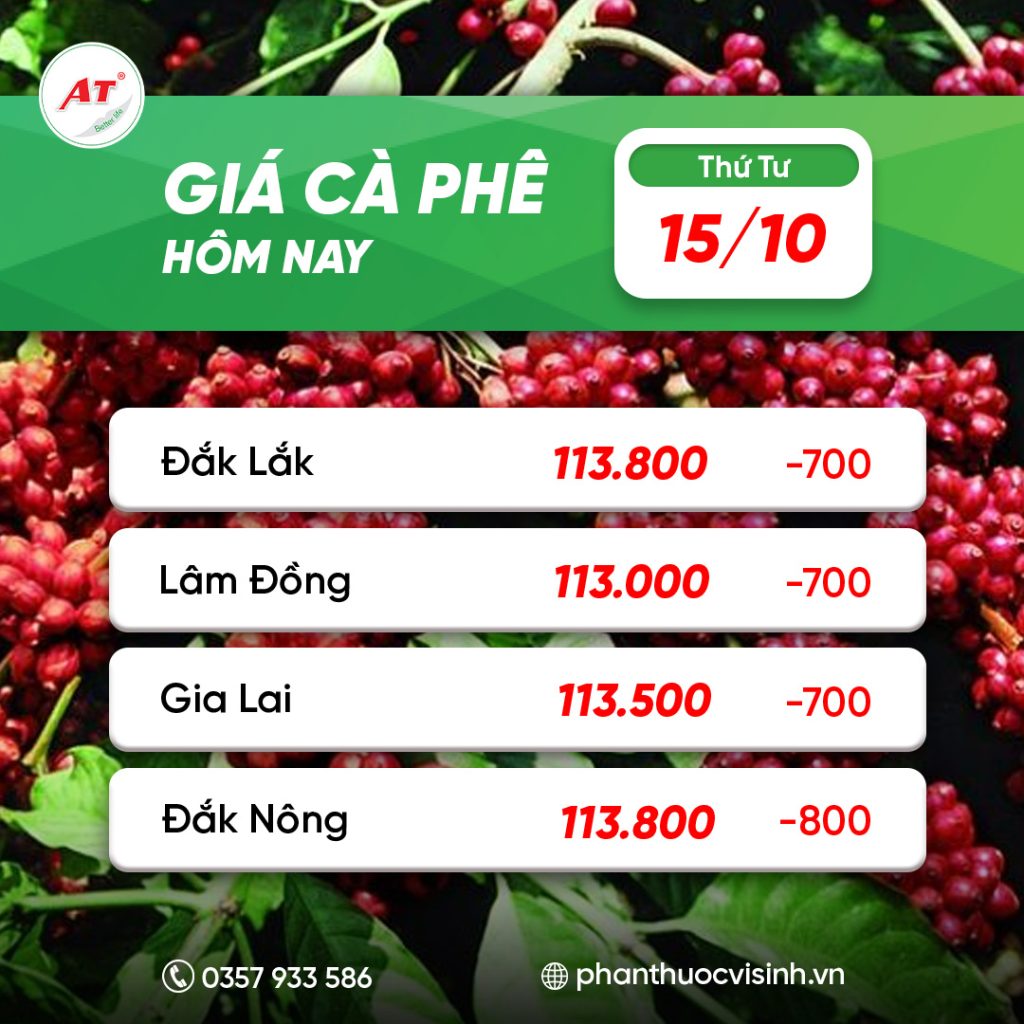 GIÁ CÀ PHÊ HÔM NAY 15/10: HẠ NHIỆT NHẸ – BÀ CON CÓ NÊN CHỜ “SÓNG” MỚI?
