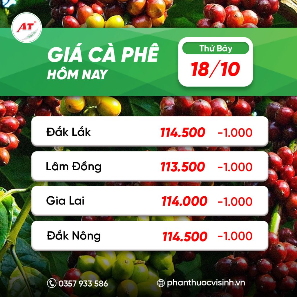 GIÁ CÀ PHÊ HÔM NAY 17/10: BIẾN ĐỘNG LIÊN TỤC 
