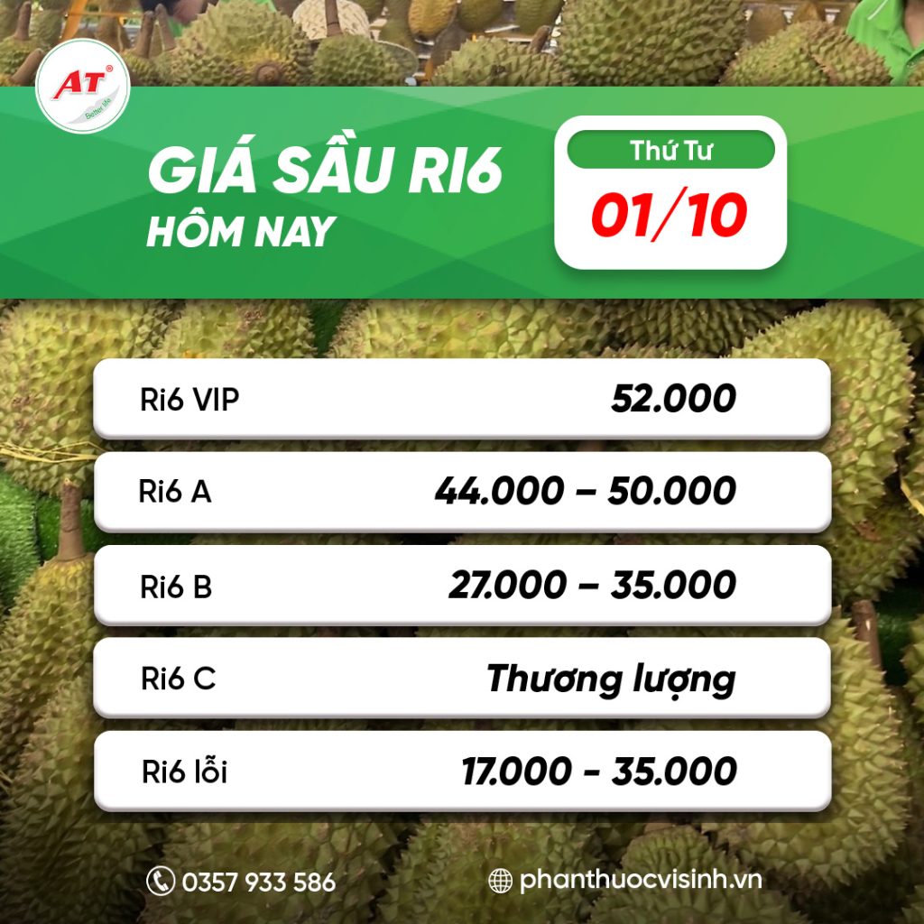 sau ri6 phan thuoc 15