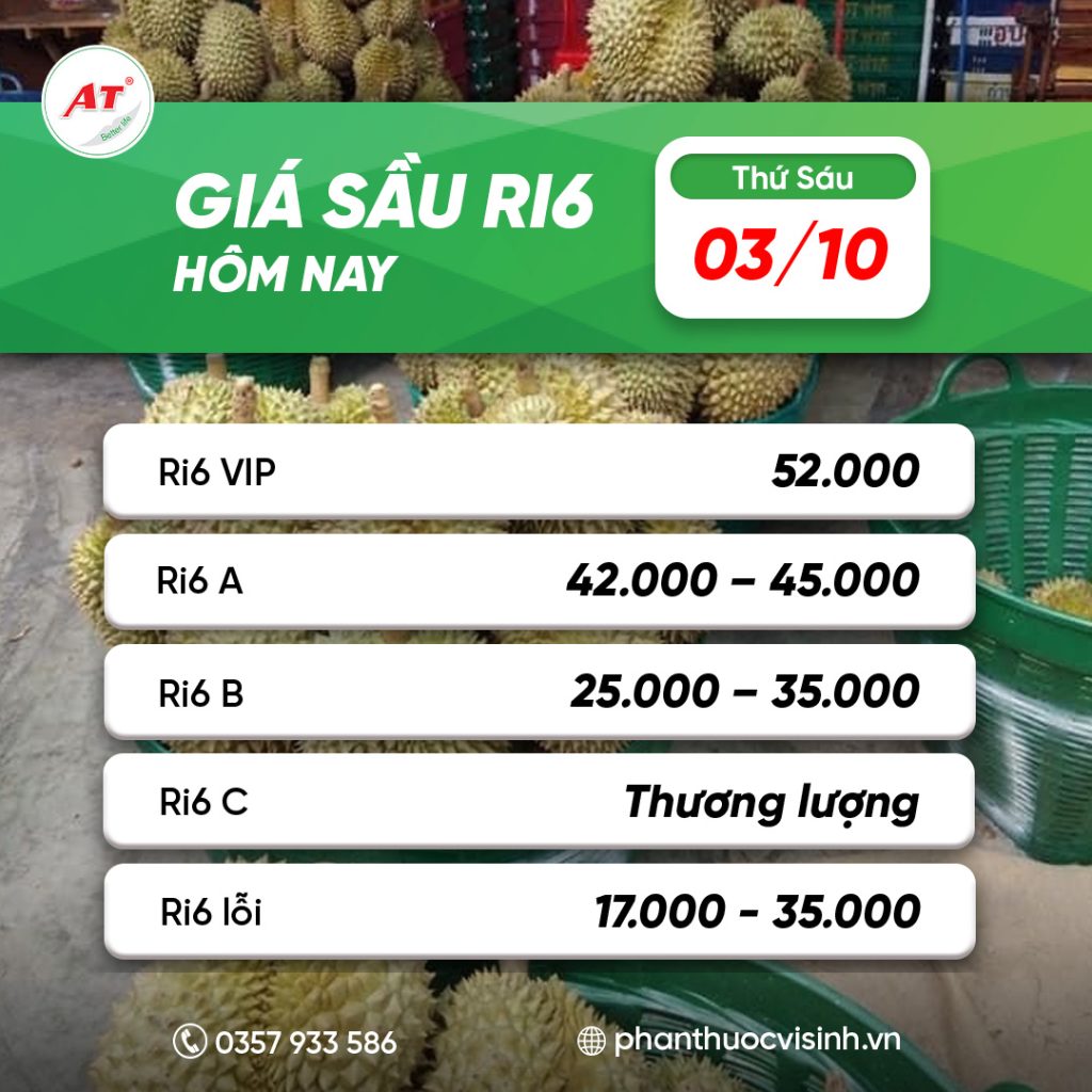 Giá sầu riêng ri6 3/10