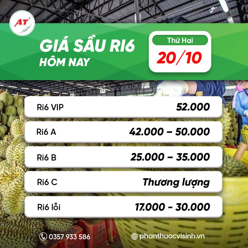 Giá sầu riêng Ri6 20/10