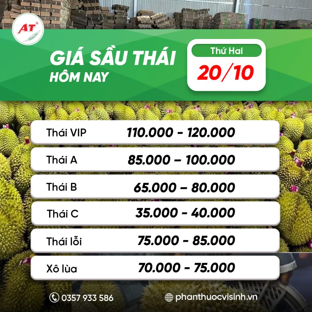GIÁ SẦU RIÊNG HÔM NAY 20/10: ỔN ĐỊNH – THỊ TRƯỜNG ĐANG CHỜ “SÓNG” MỚI