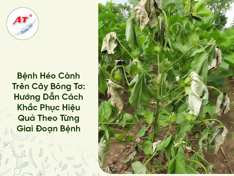 Bệnh Héo Cành Trên Cây Bông Tơ: Hướng Dẫn Cách Khắc Phục Hiệu Quả Theo Từng Giai Đoạn Bệnh