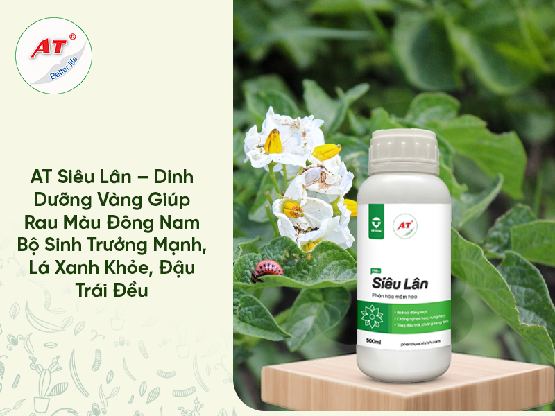 AT Siêu Lân – Dinh Dưỡng Vàng Giúp Rau Màu Đông Nam Bộ Sinh Trưởng Mạnh, Lá Xanh Khỏe, Đậu Trái Đều