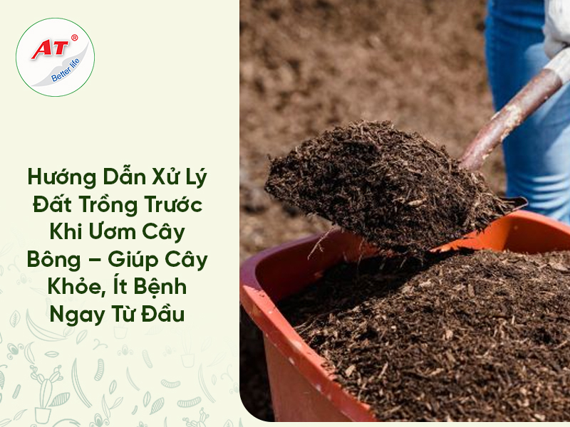 Hướng Dẫn Xử Lý Đất Trồng Trước Khi Ươm Cây Bông – Giúp Cây Khỏe, Ít Bệnh Ngay Từ Đầu
