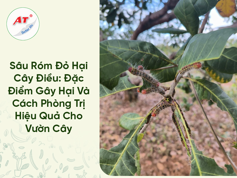 Sâu Róm Đỏ Hại Cây Điều: Đặc Điểm Gây Hại Và Cách Phòng Trị Hiệu Quả Cho Vườn Cây