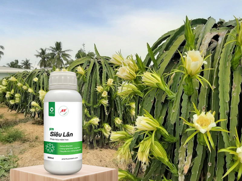 28 8WebAT05@1x 1 1 2