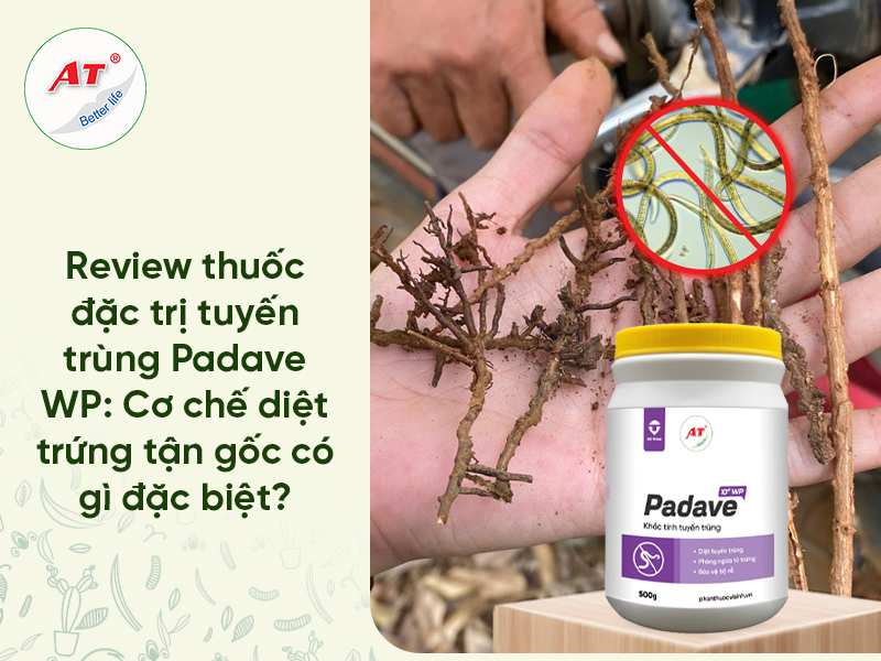 Thuốc Đặc Trị Tuyến Trùng Padave WP