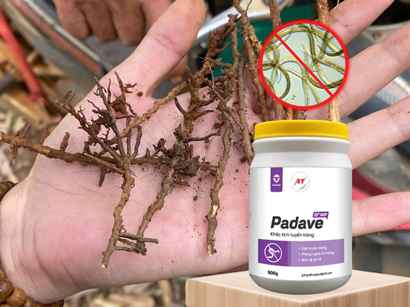 tri tuyen trung hoa hoc va sinh hoc