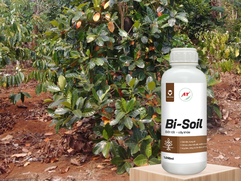 Bi Soil – Giải pháp "mở đường", hồi sinh đất trồng tơi xốp