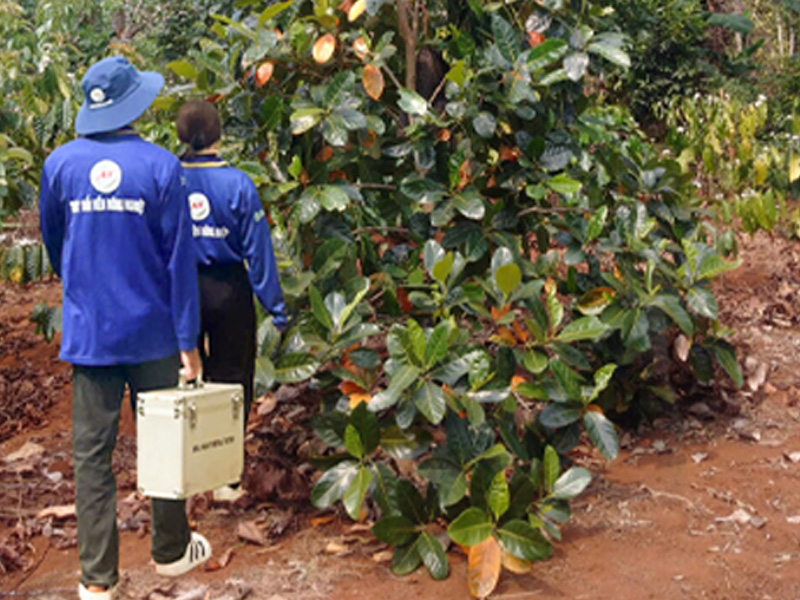 Mít Con Chậm Lớn - Phát Triển Kém - Xử lý cùng đội ngũ kỹ sư AT