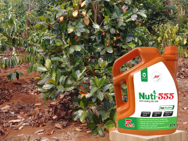 Nuti 555 – Nguồn dưỡng chất quý giá cho cây mít con phát triển
