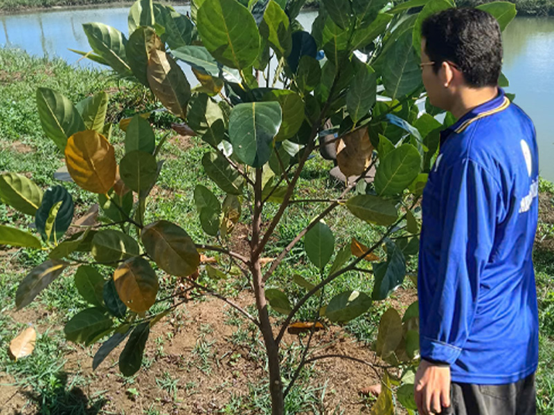 Giải Pháp Sinh Học Từ AT