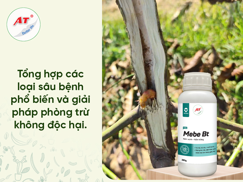 Tổng Hợp Các Loại Sâu Hại Cây Trồng Phổ Biến & Giải Pháp Phòng Trừ Sinh Học An Toàn