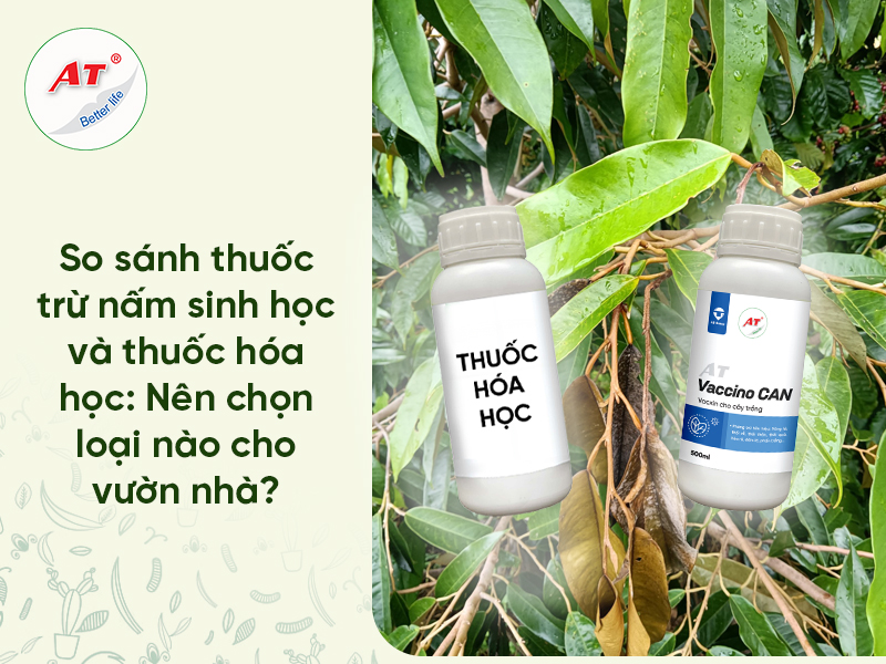 So Sánh Thuốc BVTV