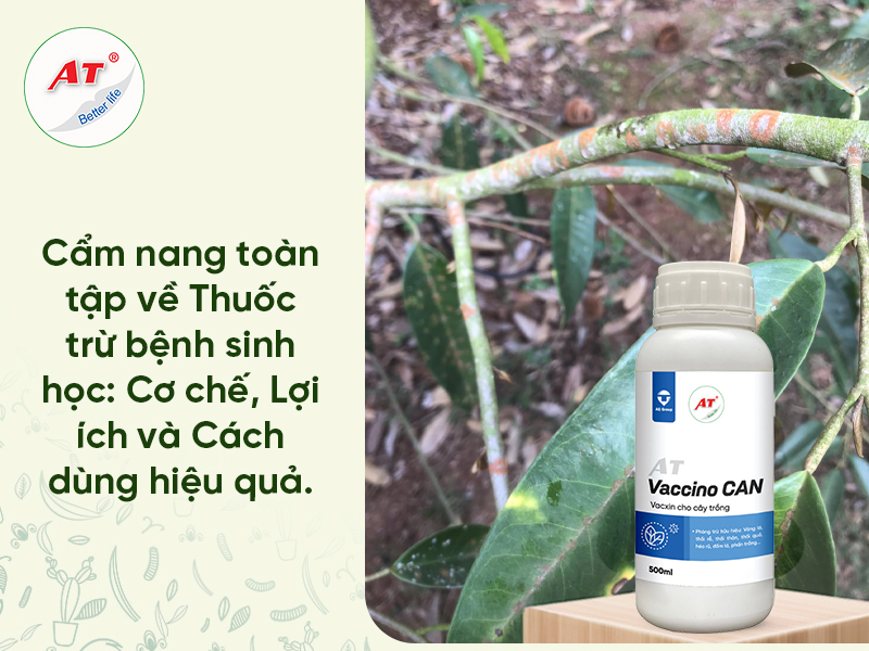 Thuốc Trừ Bệnh Sinh Học: Cẩm Nang Toàn Tập & Phác Đồ Xử Lý Nấm Bệnh Hiệu Quả Nhất
