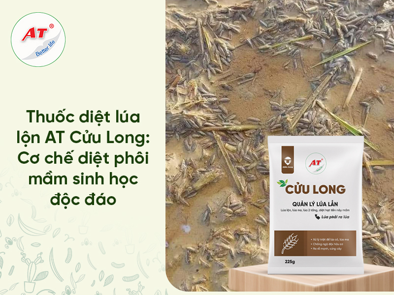 Thuốc diệt lúa lộn