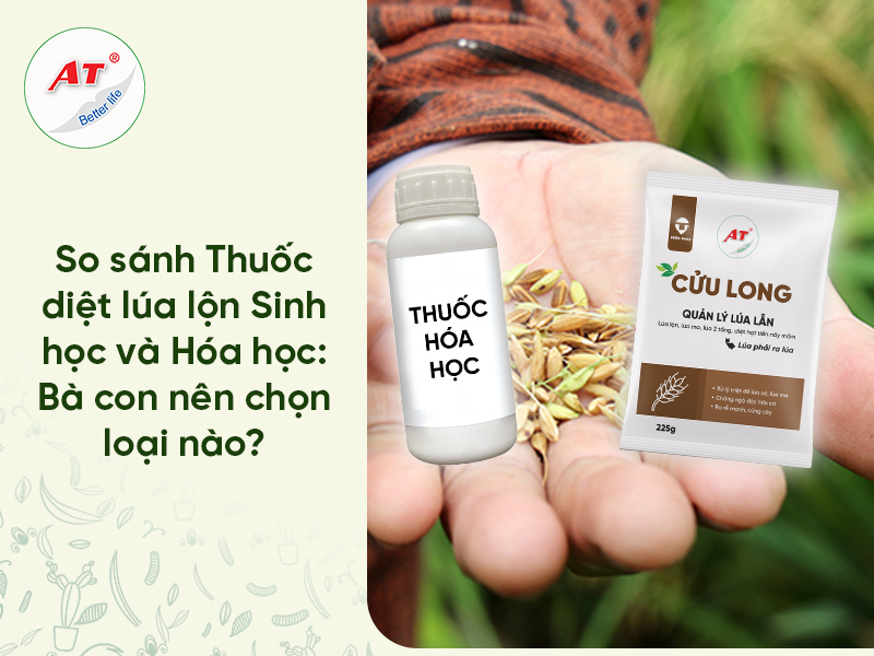 Thuốc trừ lúa cỏ