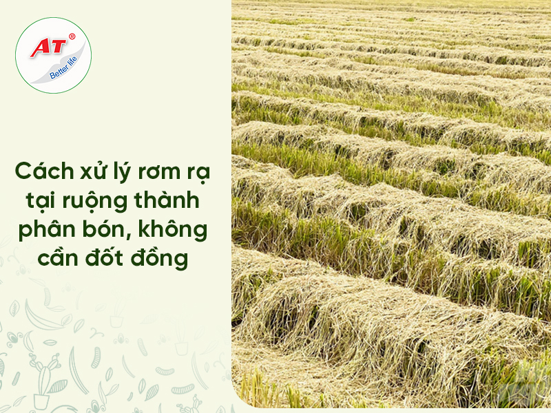 xu ly rom ra tai ruong