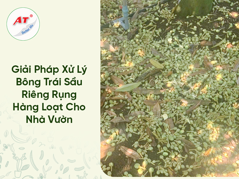 28 8WebAT03 2026 03 17T162030.033