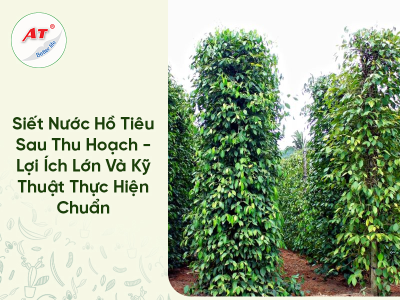 28 8WebAT03 2026 03 26T165741.219