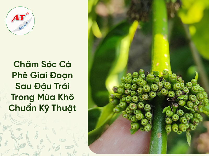 28 8WebAT03 2026 03 31T104254.172