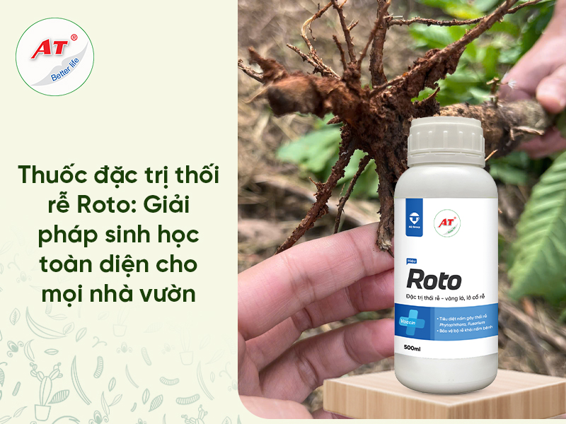 Thuốc Đặc Trị Thối Rễ Roto