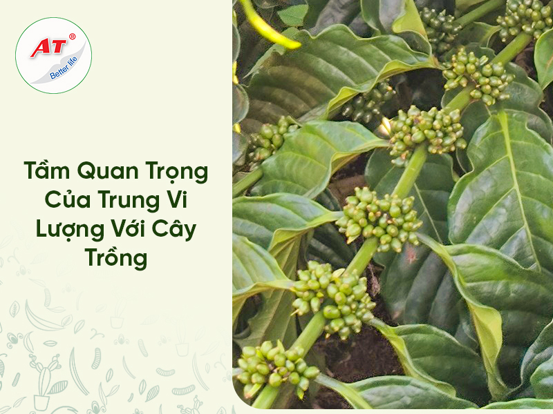 28 8WebAT03 2026 04 02T102845.001