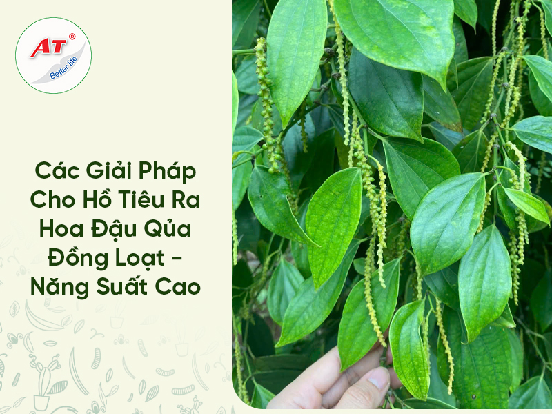 28 8WebAT03 2026 04 06T152232.497