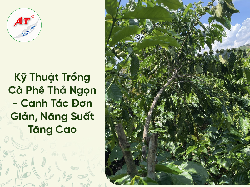 28 8WebAT03 2026 04 06T152612.265