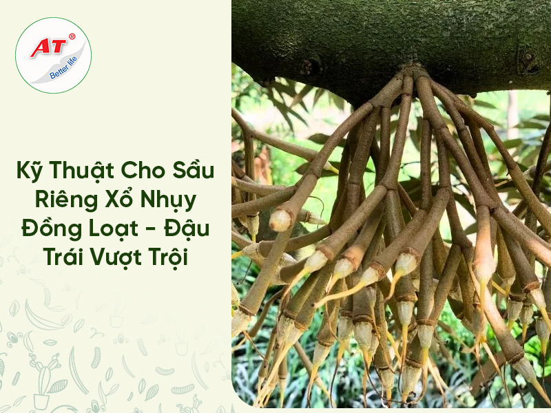 28 8WebAT03 2026 04 08T102333.427