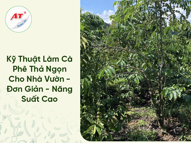 28 8WebAT03 2026 04 17T164330.215