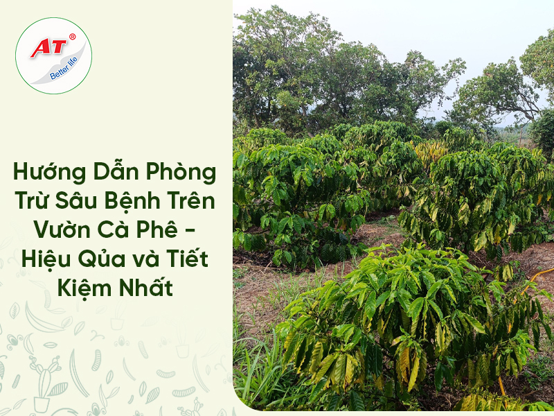 28 8WebAT03 2026 04 20T112623.916