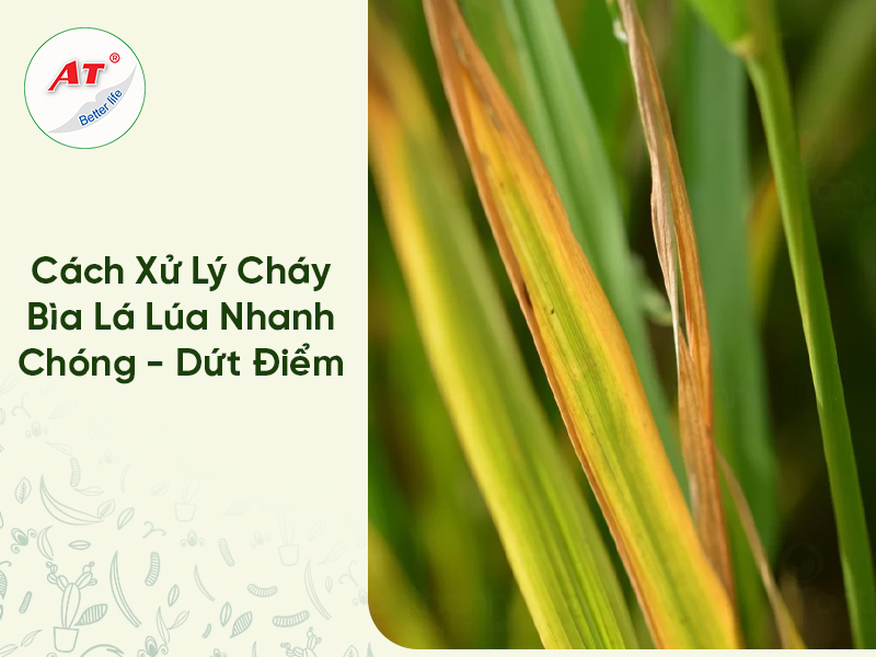 28 8WebAT03 2026 04 21T094608.989