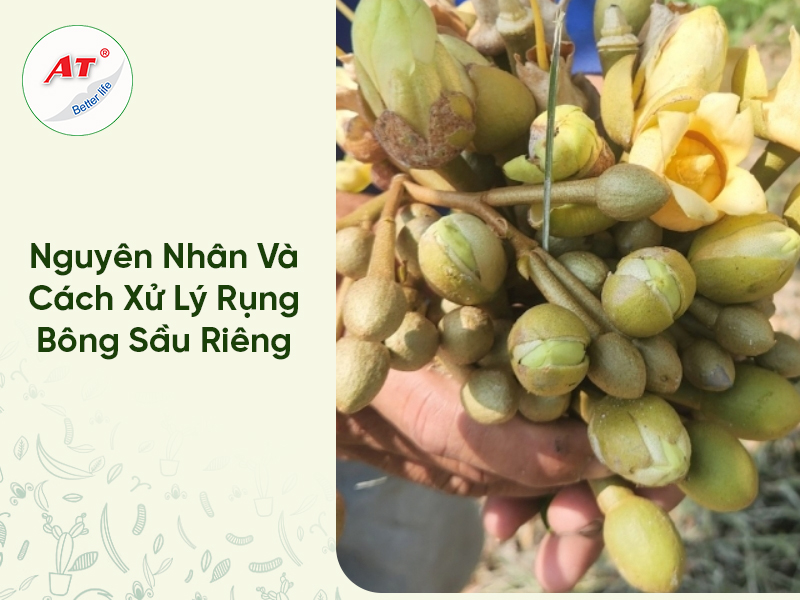 28 8WebAT03 2026 04 24T110022.754