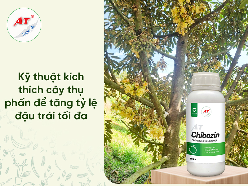 Kích Thích Cây Thụ Phấn