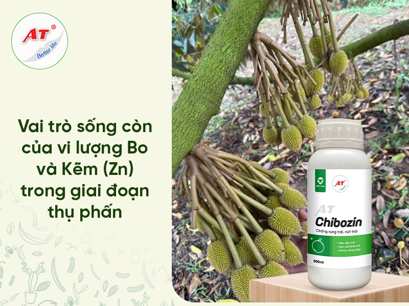 Phân Bón Vi Lượng Bo Kẽm