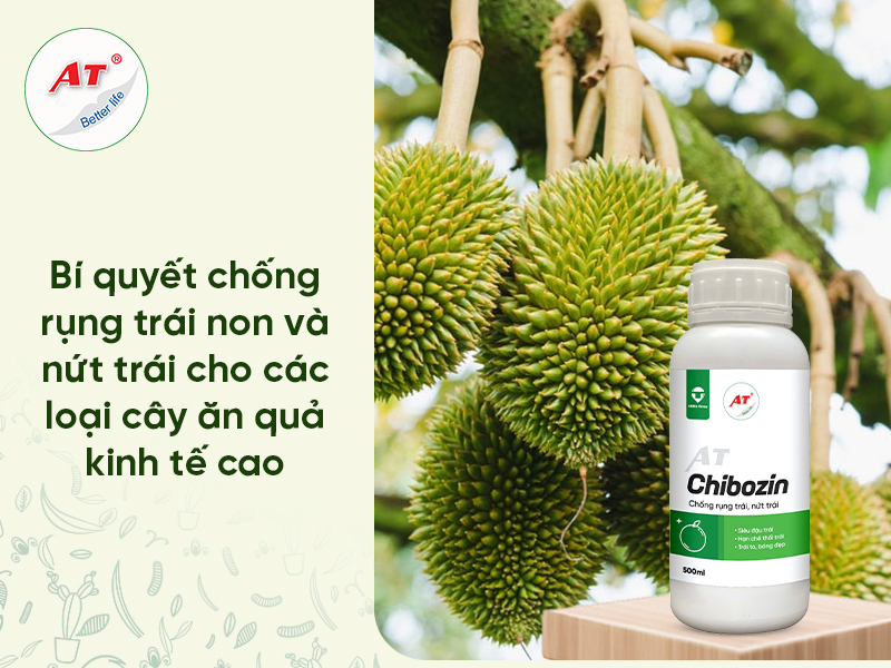 Thuốc Chống Nứt Trái