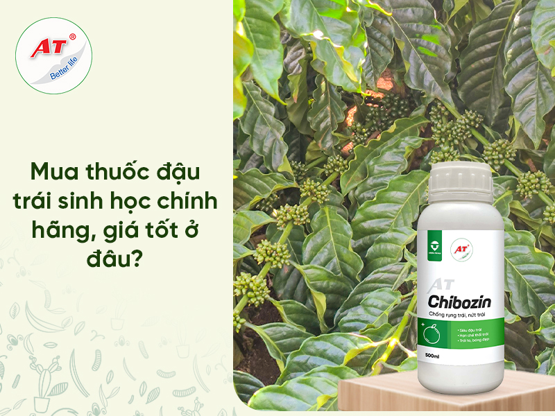 Thuốc Chống Rụng Trái