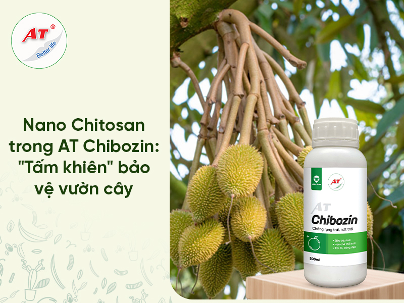 chế phẩm sinh học đậu tráI