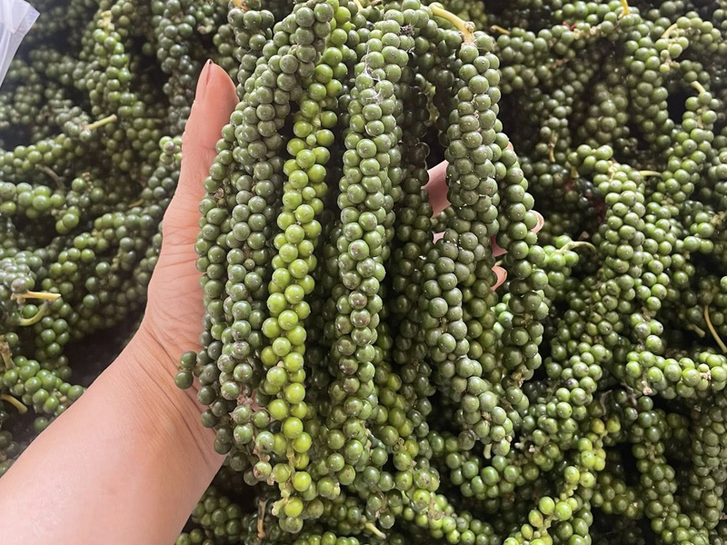 Hồ tiêu Việt Nam bứt phá mạnh mẽ trên thị trường quốc tế