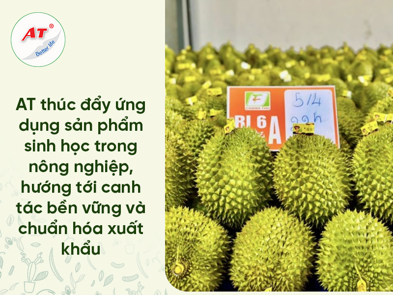 Phân thuốc vi sinh AT – Hành trình đưa giải pháp sinh học đến gần hơn với nền nông nghiệp bền vững